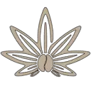 Best Seed Shop
